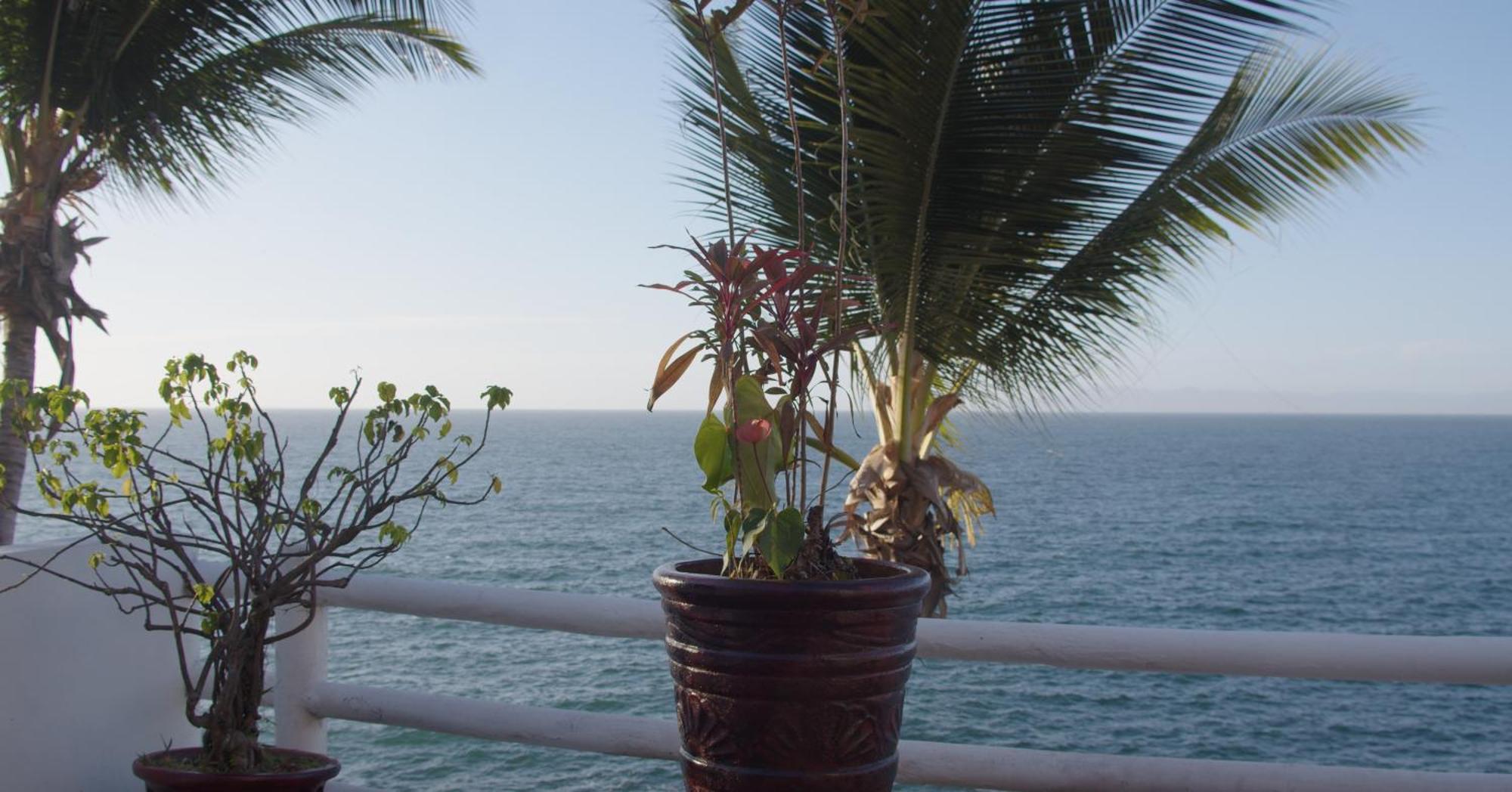 Traditional Sierra Leon Oceanfront Rooms - Adults Only Puerto Vallarta Zewnętrze zdjęcie